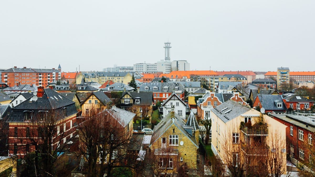 Skimmelsvamp på Frederiksberg – udsigt over tage og etageejendomme