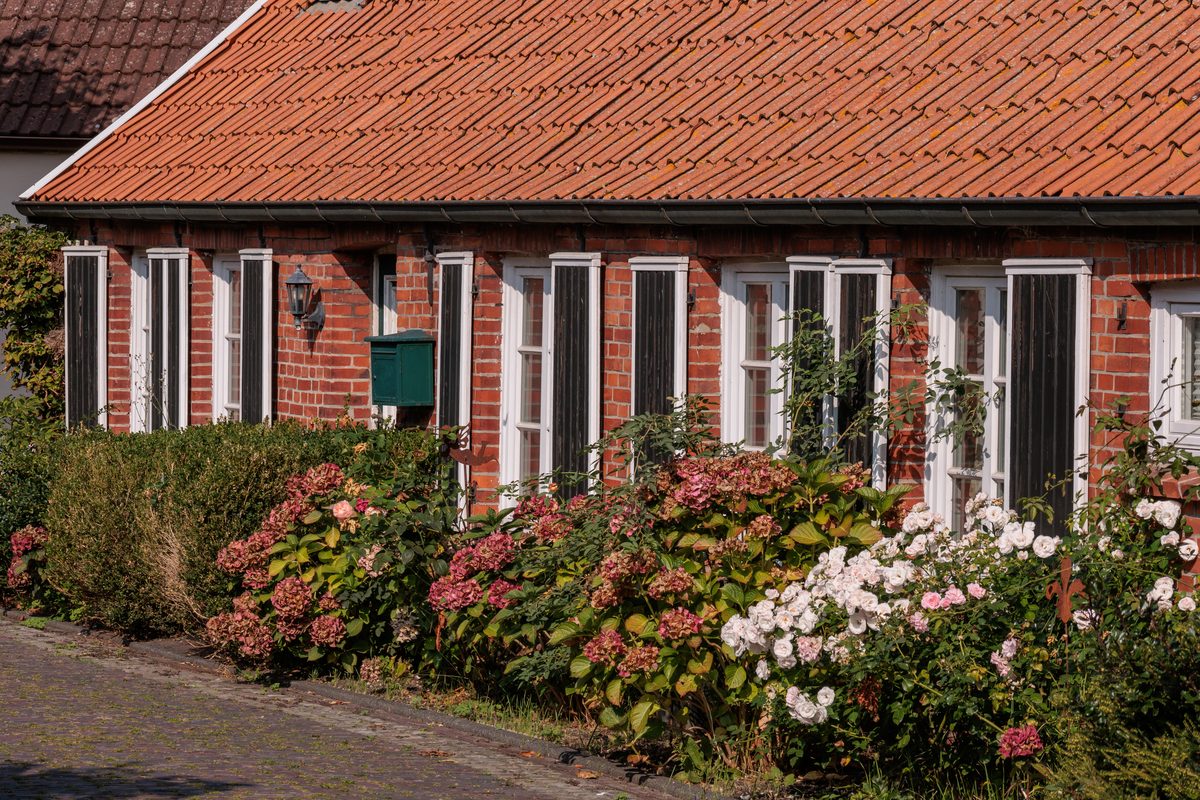 Skimmelsvamp i Gentofte – ældre murstensvilla med tegltag og have